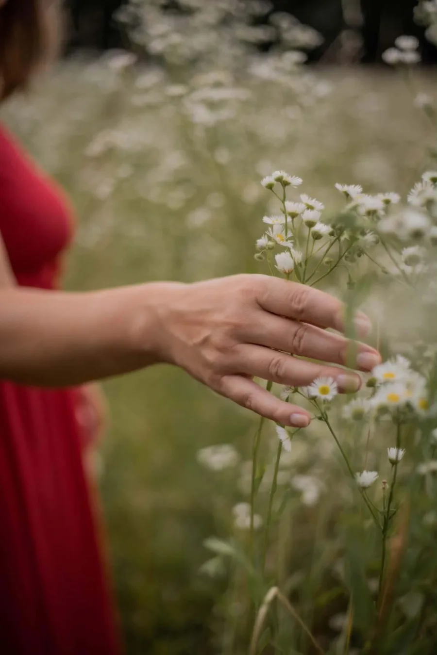 Sylwia Małyska — naturopata